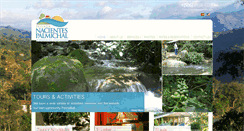 Desktop Screenshot of nacientespalmichal.com